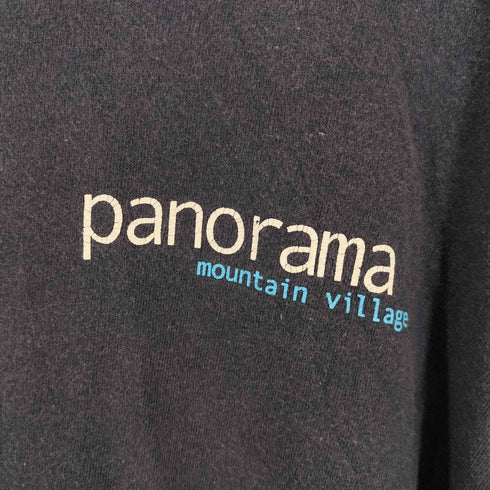 gneiss clothing company panorama mountain village クルーネックTシャツ メンズ import:XXL