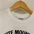ヘインズ Hanes 90S USA製 マウンテンプリントTee シングルステッチ レディース import:S