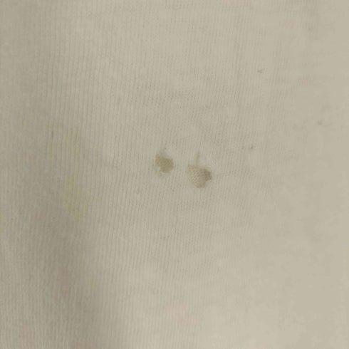 ヘインズ Hanes 90S USA製 マウンテンプリントTee シングルステッチ レディース import:S