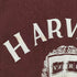チャンピオン Champion 90S HARVARD カレッジスウェット リバースウィーブ アーチロゴ メンズ import:S
