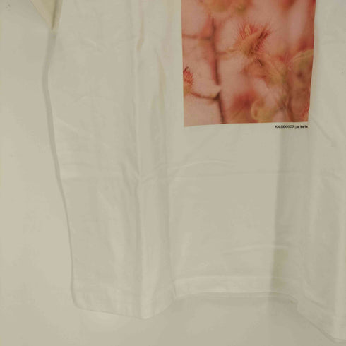 オブレクト oblekt フラワープリントS/S Tシャツ レディース JPN:XL