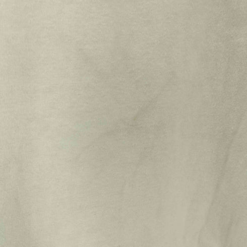 ヘインズ Hanes 90S 恐竜プリントTシャツ メンズ JPN:L