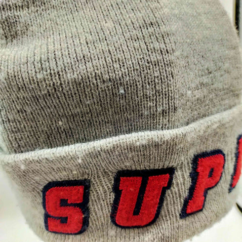シュプリーム Supreme 19SS Felt Logo Beanie メンズ
