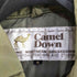 キャメル CAMEL 70S 2ポケットダウンベスト メンズ import:M