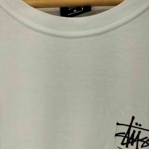 ステューシー Stussy Big & Meaty tee メンズ
