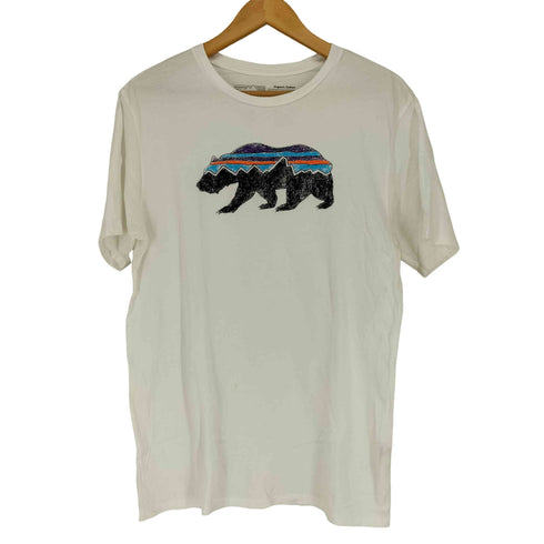 パタゴニア patagonia ORGANIC COTTON Tシャツ メンズ S