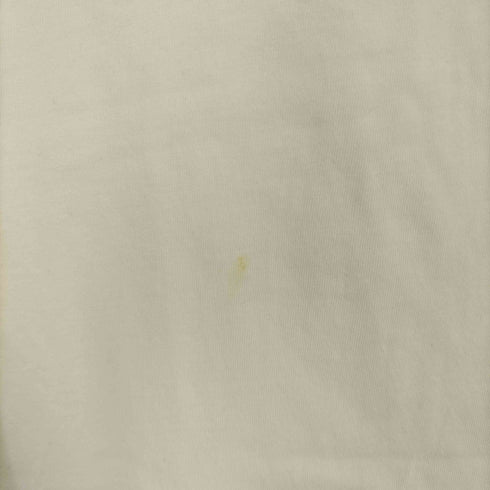 パタゴニア patagonia ORGANIC COTTON Tシャツ メンズ S