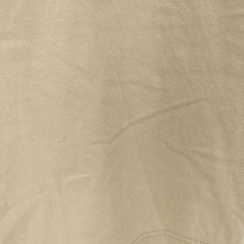 タルテックス TULTEX ZION NATIONAL PARK プリント クルーネックTシャツ メンズ import:L