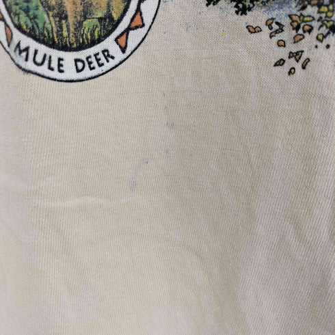 タルテックス TULTEX ZION NATIONAL PARK プリント クルーネックTシャツ メンズ import:L