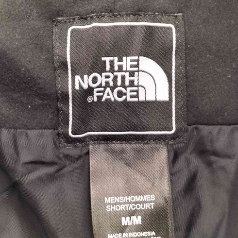 ザノースフェイス THE NORTH FACE HYVENT オーバーパンツ スキーパンツ メンズ JPN:M
