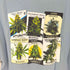 ハフ HUF WEED PLANTLIFE Tシャツ メンズ import:M