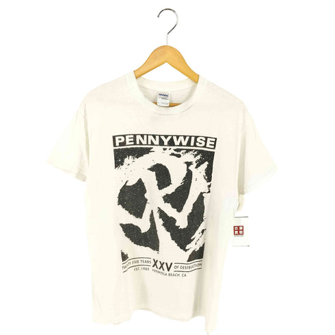 ギルダン GILDAN HERMOSA BEACH バンドTシャツ メンズ import:M