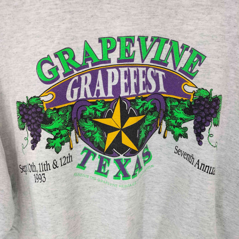 フルーツオブザルーム FRUIT OF THE LOOM 90S USA製 レイヤードデザイン フロントプリントTシャツ メンズ import:XL