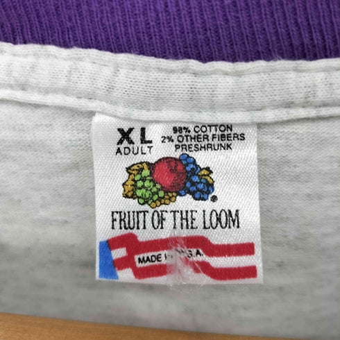 フルーツオブザルーム FRUIT OF THE LOOM 90S USA製 レイヤードデザイン フロントプリントTシャツ メンズ import:XL