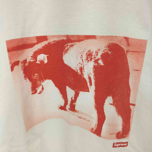 シュプリーム Supreme 22SS Daido Moriyama Dog Tee メンズ import:M