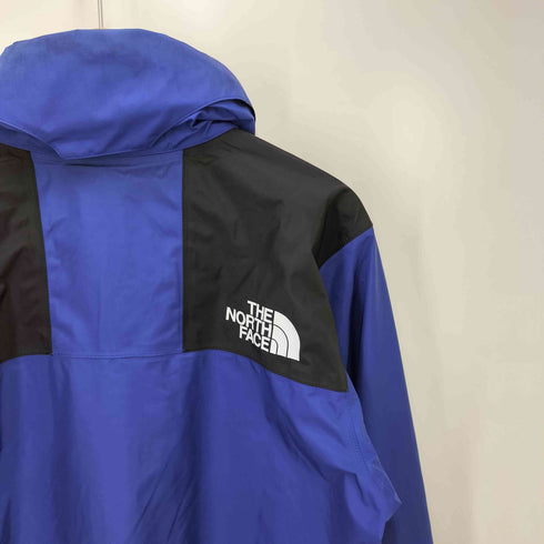 ザノースフェイス THE NORTH FACE MOUNTAIN RAINTEX JACKET GORE-TEX マウンテン レインテックス ジャケット メンズ import:M