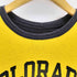チャンピオン Champion USA製 トリコタグ COLORADO カレッジロゴダブルフェイスTシャツ メンズ import:XL