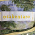 OSAKENTARO printed bag レディース FREE