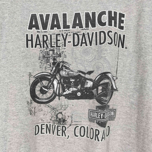 ハーレーダビッドソン HARLEY-DAVIDSON ロゴ バイク 両面プリント ノースリーブTシャツ メンズ 2XL