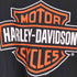 ハーレーダビッドソン HARLEY-DAVIDSON ロゴ両面プリント Tシャツ メンズ import:L
