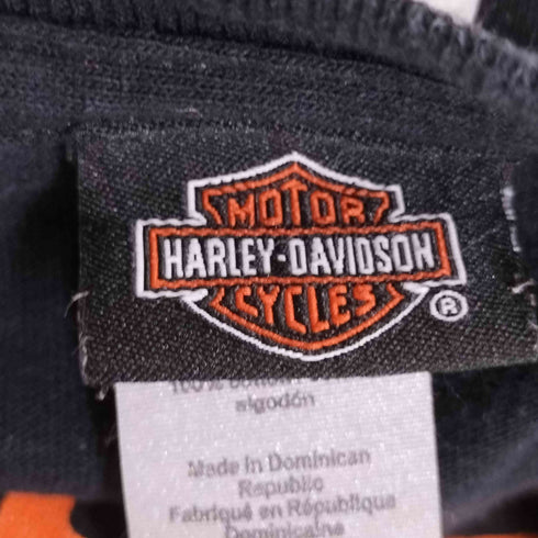 ハーレーダビッドソン HARLEY-DAVIDSON ロゴ両面プリント Tシャツ メンズ import:L