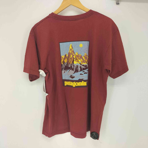 パタゴニア patagonia 90's Beneficial T's メンズ import:M