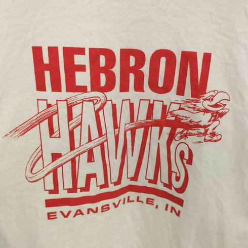 フルーツオブザルーム FRUIT OF THE LOOM 90S HEBRON HAWKs 袖/裾シングルステッチ プリント S/S Tシャツ メンズ import:S
