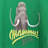 マムート MAMMUT プリント Tシャツ レディース import:S