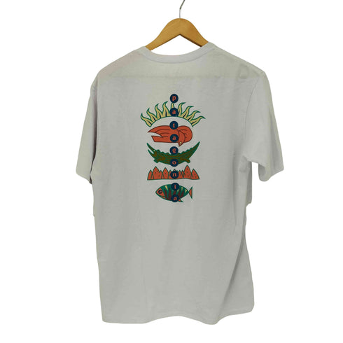 パタゴニア patagonia Responsibili-Tee フィッツ ロイ ワイルド メンズ import:S
