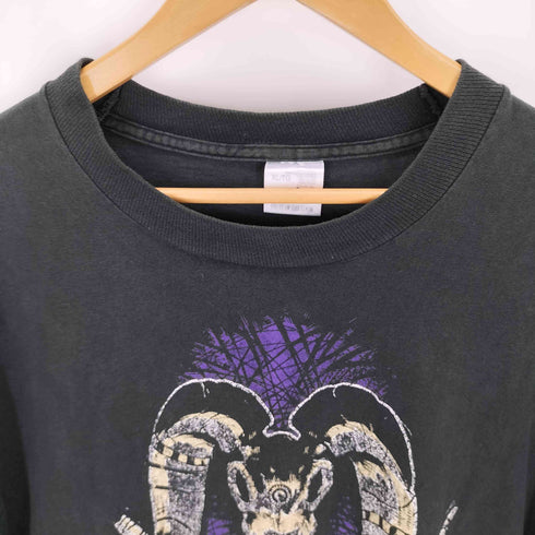 フルーツオブザルーム FRUIT OF THE LOOM 90s シングルステッチ アーティストクルーネック S/S Tシャツ メンズ JPN:XL