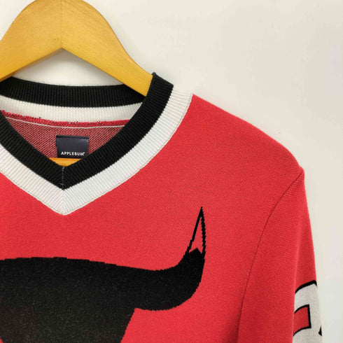 アップルバム APPLEBUM チームロゴ ナンバリング ボーダー Vネック ニット レディース JPN:M