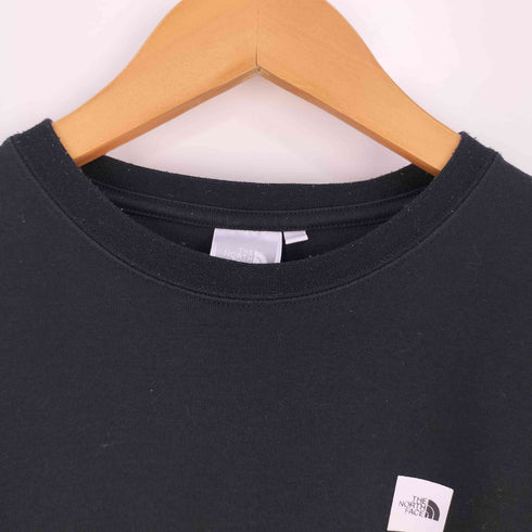 ザノースフェイス THE NORTH FACE L/S Small Box Logo Tee ロングスリーブ スモール ロゴ Tシャツ メンズ import:L