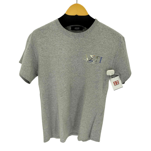 ディアスポラスケートボーズ Diaspora Skateboards バックプリント Tシャツ メンズ import:M