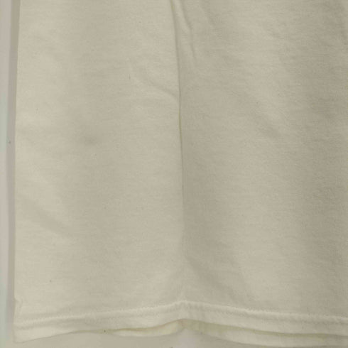バンドTシャツ メンズ import:M