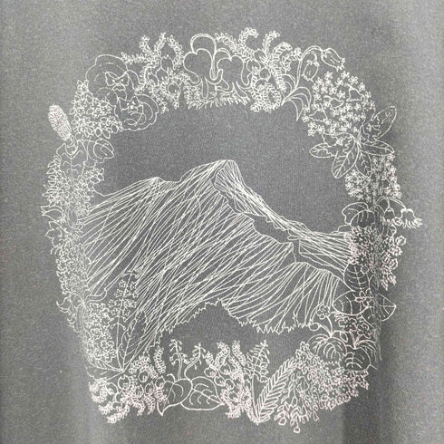 マウンテンハードウェア MOUNTAIN HARDWEAR グラフィック Tシャツ メンズ import:L