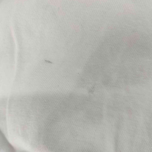 エディーバウアー Eddie Bauer フロントプリント S/S Tシャツ メンズ import:L