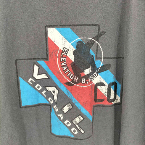 フルーツオブザルーム FRUIT OF THE LOOM VAIL COLORADO プリントクルーネックTシャツ メンズ