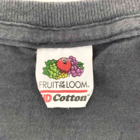 フルーツオブザルーム FRUIT OF THE LOOM VAIL COLORADO プリントクルーネックTシャツ メンズ