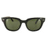 レイバン Ray-Ban METEOR メンズ