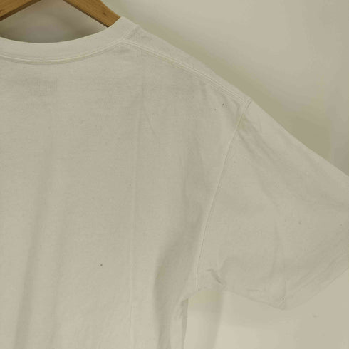 ザノースフェイス THE NORTH FACE 22SS S/S NUPTSE COTTON TEE ショートスリーブ ヌプシ コットン ティー メンズ import:XL