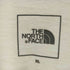 ザノースフェイス THE NORTH FACE 22SS S/S NUPTSE COTTON TEE ショートスリーブ ヌプシ コットン ティー メンズ import:XL