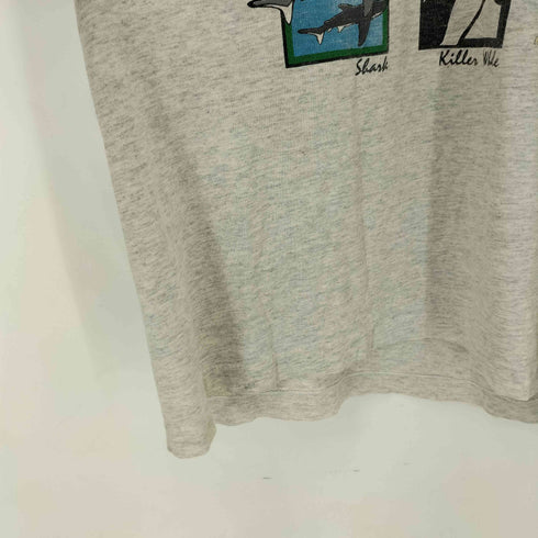 アンビル Anvil 90S USA製 シングルステッチ フロントプリント S/S Tシャツ メンズ import:L