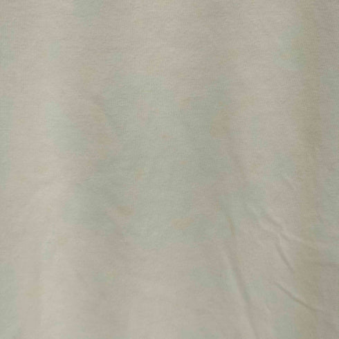 ヘインズ Hanes 90S USA製 シングルステッチ フロントプリント S/S Tシャツ メンズ import:M