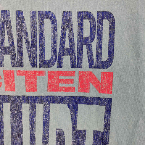 シテン CITEN ビッグロゴ Tシャツ メンズ JPN:L
