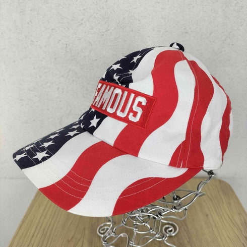 ワールドワイドフェイマス WORLD WIDE FAMOUS 星条旗デザイン 6パネルキャップ メンズ