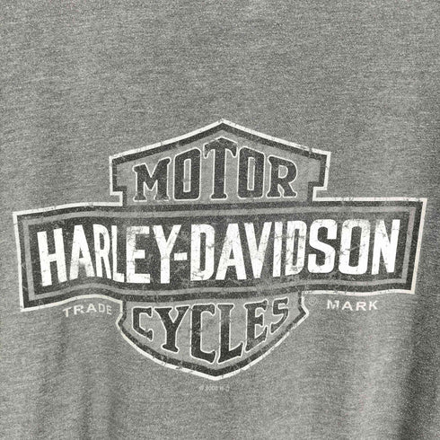 ハーレーダビッドソン HARLEY-DAVIDSON 両面プリントクルーネックTシャツ メンズ 3XL