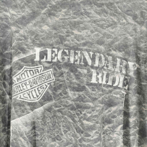 ハーレーダビッドソン HARLEY-DAVIDSON 両面プリントクルーネックTシャツ メンズ 2XL