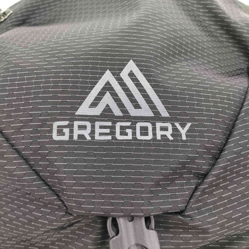 グレゴリー GREGORY NANO24 ナノ24 バックパック リュックサック メンズ 24L