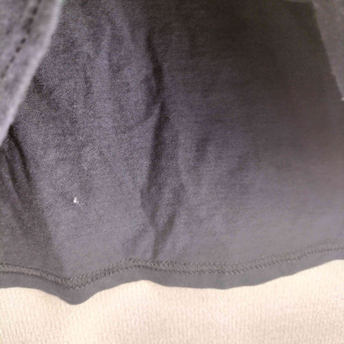 フルーツオブザルーム FRUIT OF THE LOOM バンドプリント 半袖カットソー メンズ import:M