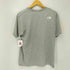 ザノースフェイス THE NORTH FACE COLOR DOME TEE メンズ import:L